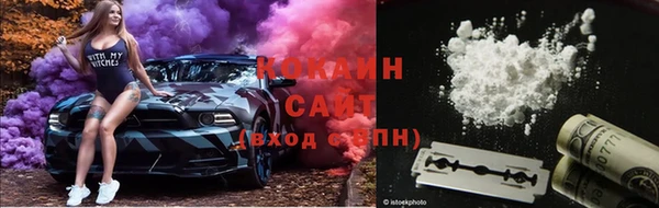 шишки Алзамай