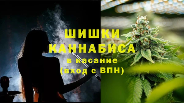 шишки Алзамай