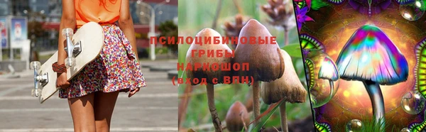 шишки Алзамай