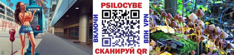 Псилоцибиновые грибы ЛСД  Протвино 