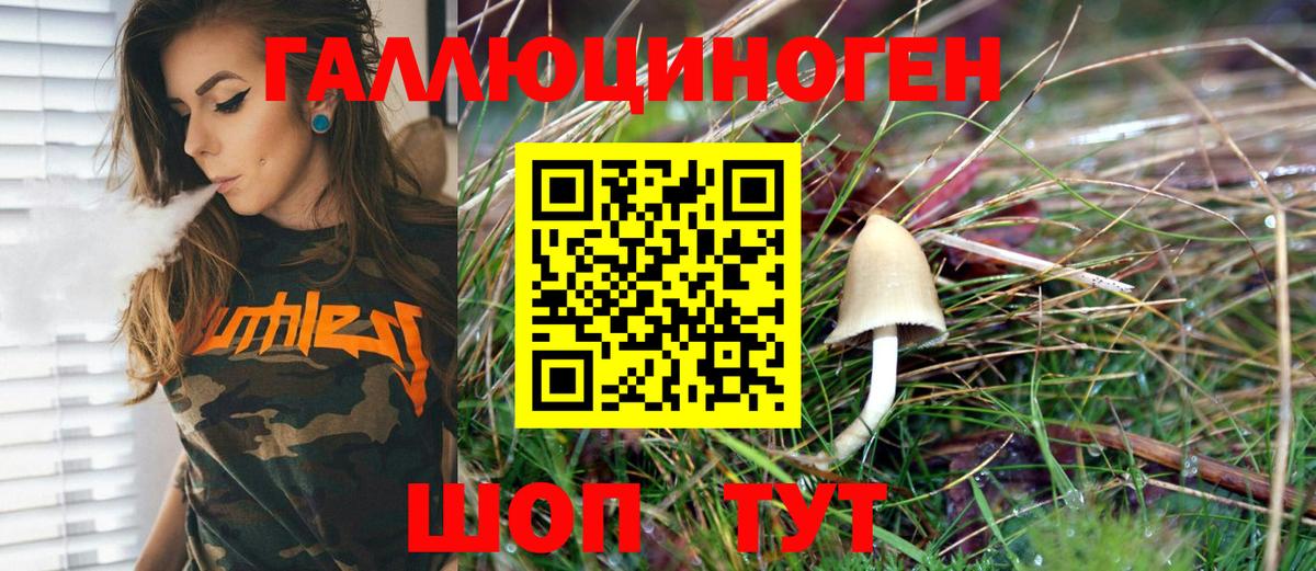 Псилоцибиновые грибы MAGIC MUSHROOMS Протвино